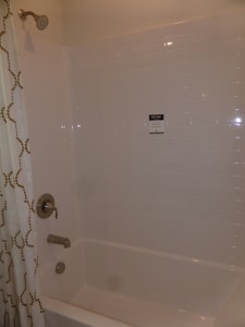 P1130424